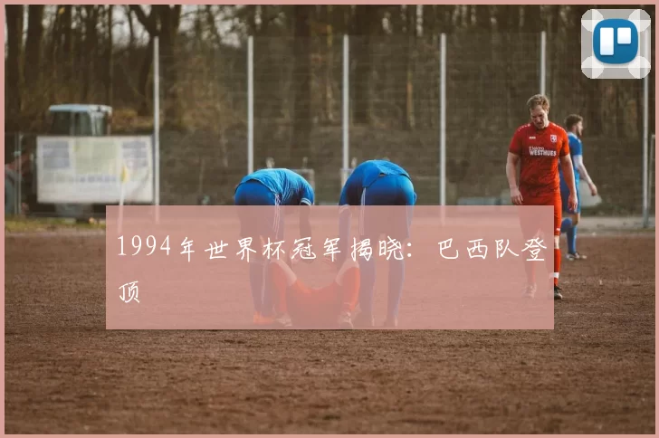 1994年世界杯冠军揭晓：巴西队登顶