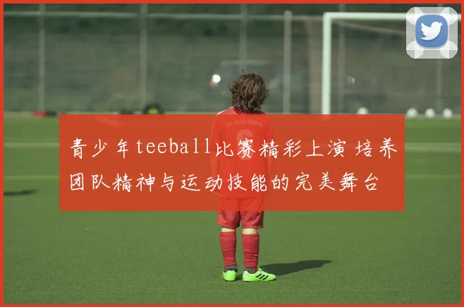 青少年teeball比赛精彩上演 培养团队精神与运动技能的完美舞台