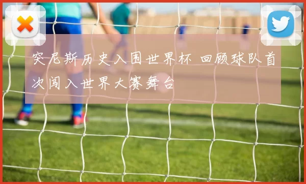 突尼斯历史入围世界杯 回顾球队首次闯入世界大赛舞台