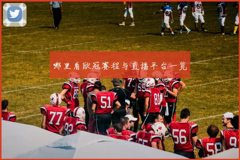 哪里看欧冠赛程与直播平台一览