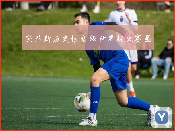 突尼斯历史性晋级世界杯决赛圈