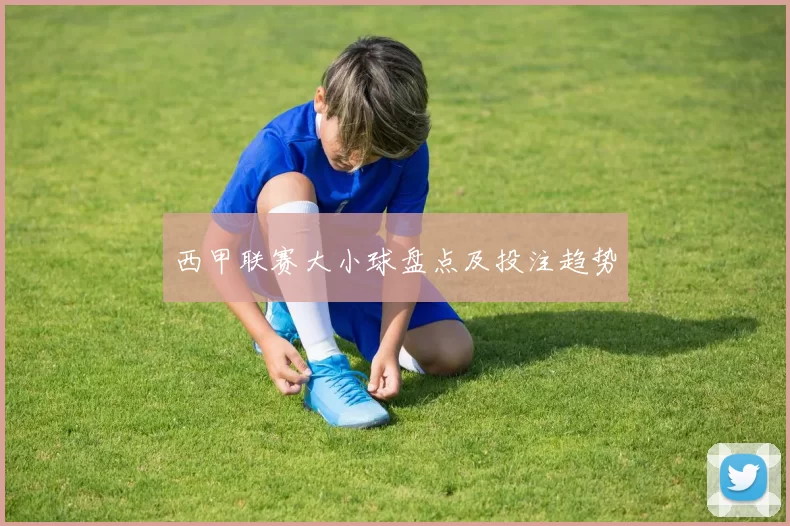 西甲联赛大小球盘点及投注趋势