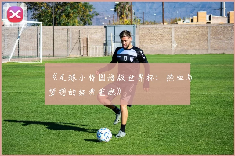 《足球小将国语版世界杯：热血与梦想的经典重燃》