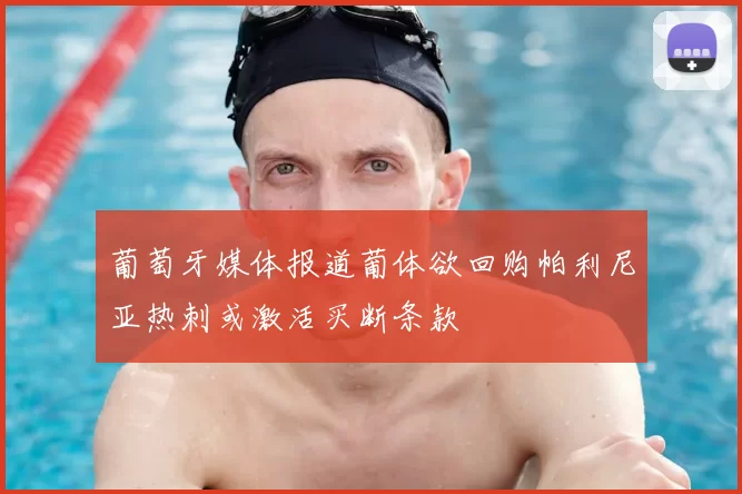 葡萄牙媒体报道葡体欲回购帕利尼亚热刺或激活买断条款
